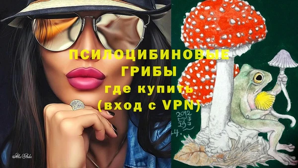 Альфа ПВП Богданович