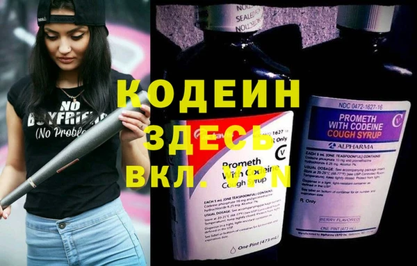 хмурый Богородск