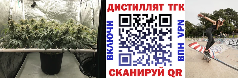 ТГК жижа  Буйнакск 