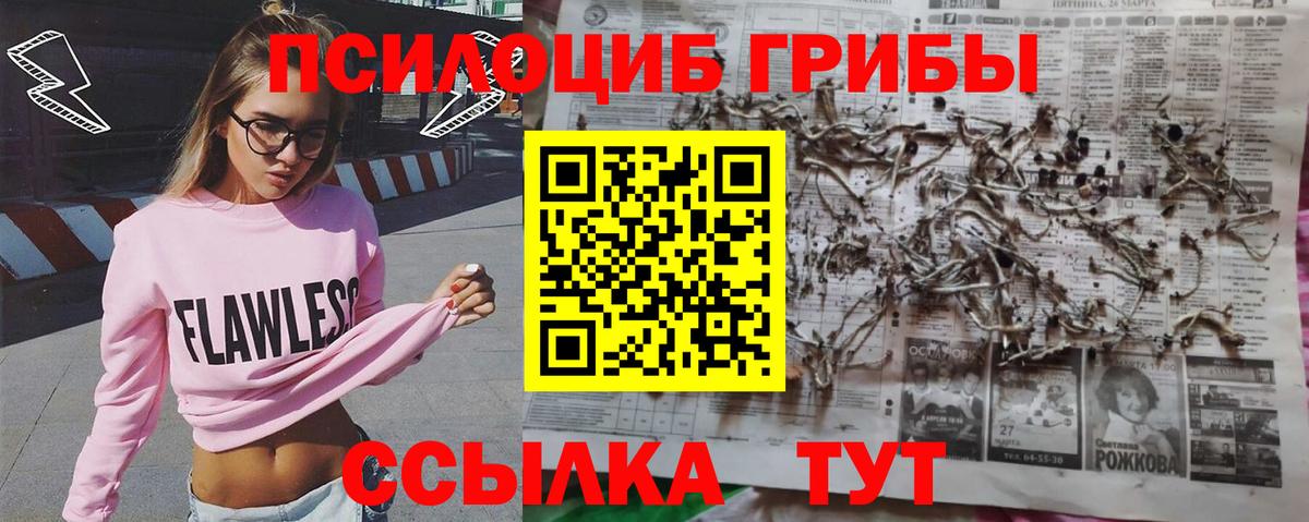 Псилоцибиновые грибы GOLDEN TEACHER Буйнакск